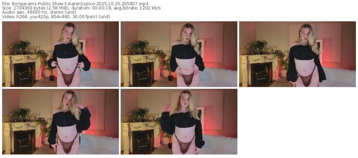 bongacams-aaron1spice-10-25-2025-20-58-07