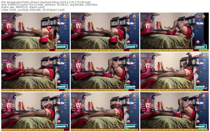 bongacams-gayfigo19stup-10-25-2025-17-52-36