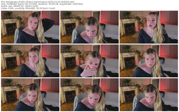 bongacams-aaron1spice-10-26-2025-03-45-29