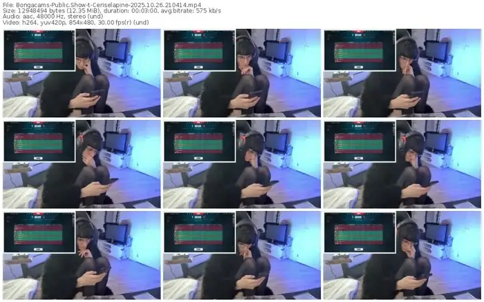 bongacams-ceriselapine-10-26-2025-21-04-14