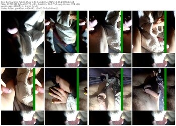 bongacams-di-quodnone-10-27-2025-23-07-04