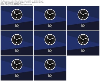 bongacams-hotties-kittens-10-28-2025-18-09-15