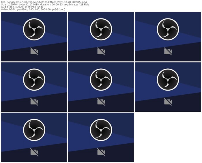 bongacams-hotties-kittens-10-28-2025-18-09-15