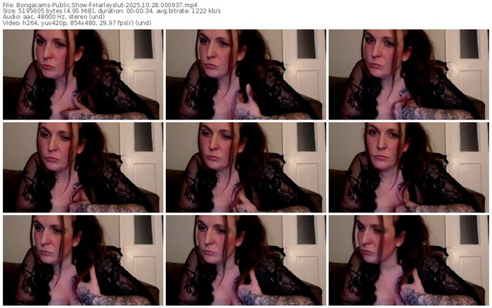 bongacams-harleyslut-10-28-2025-00-09-37