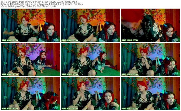 bongacams-tricky-kitsune-10-30-2025-14-18-11