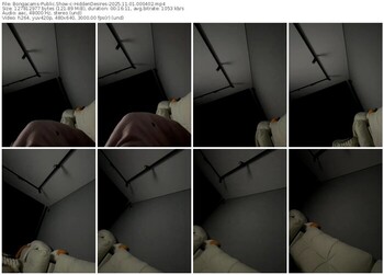 bongacams-hiddendesires-11-01-2025-00-04-02