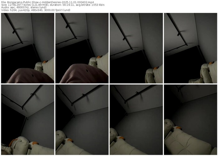 bongacams-hiddendesires-11-01-2025-00-04-02
