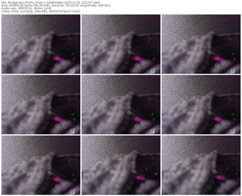 bongacams-oda69dako-11-01-2025-22-07-27