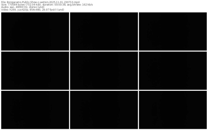 bongacams-wetsin-11-01-2025-23-07-10