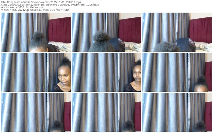 bongacams-wetsin-11-01-2025-23-40-52