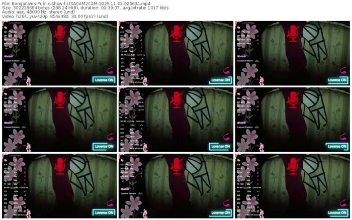 bongacams-lisacam2cam-11-01-2025-02-36-34
