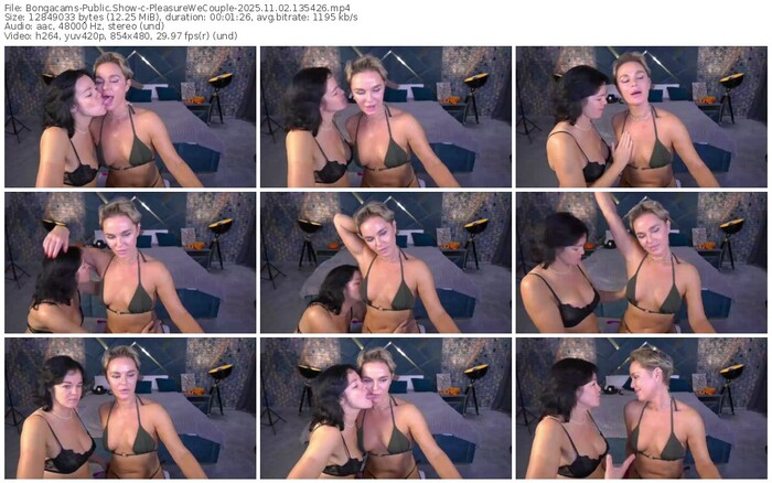 bongacams-pleasurewecouple-11-02-2025-13-54-26