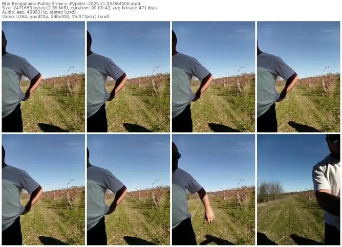 bongacams--pypsiki--11-03-2025-08-45-00