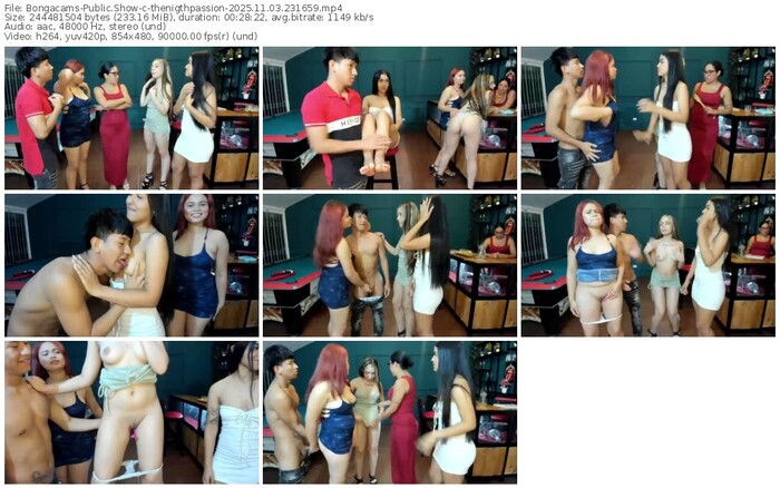 bongacams-thenigthpassion-11-03-2025-23-16-59