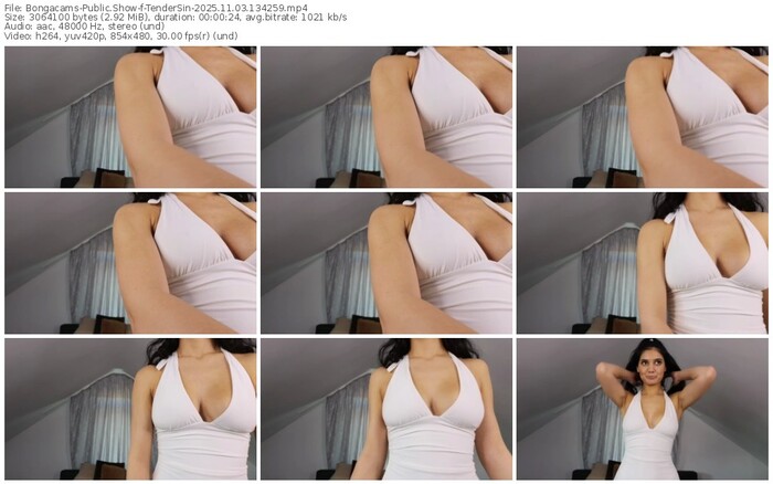 bongacams-tendersin-11-03-2025-13-42-59