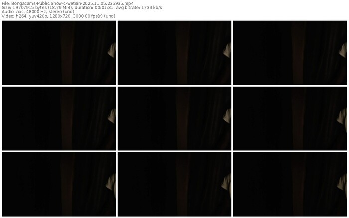 bongacams-wetsin-11-05-2025-23-59-35