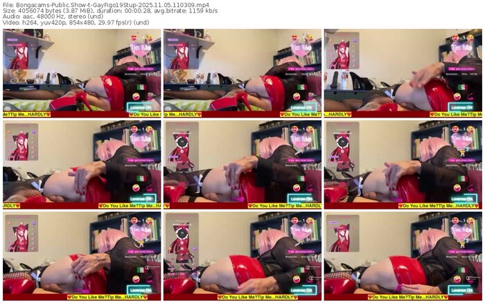 bongacams-gayfigo19stup-11-05-2025-11-03-09