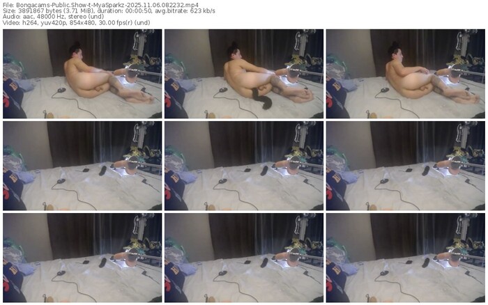 bongacams-myasparkz-11-06-2025-08-22-32