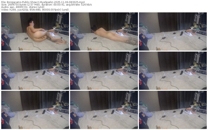 bongacams-myasparkz-11-06-2025-08-33-25