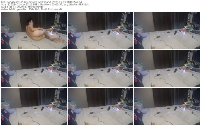 bongacams-myasparkz-11-06-2025-08-40-35
