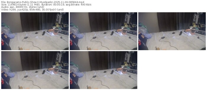 bongacams-myasparkz-11-06-2025-08-58-44