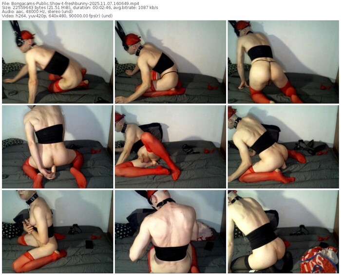 bongacams-freshbunny-11-07-2025-16-06-49