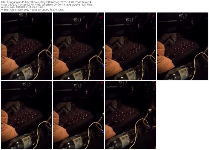 bongacams-katya9194oleg-11-08-2025-20-48-34