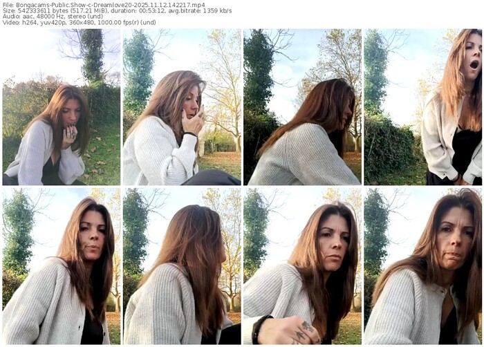 bongacams-dreamlove20-11-12-2025-14-22-17