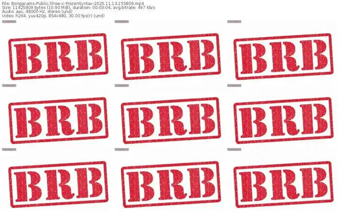 bongacams-frozensyntax-11-13-2025-15-58-09