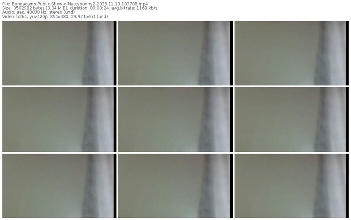 bongacams-nastybunny2-11-13-2025-10-37-08