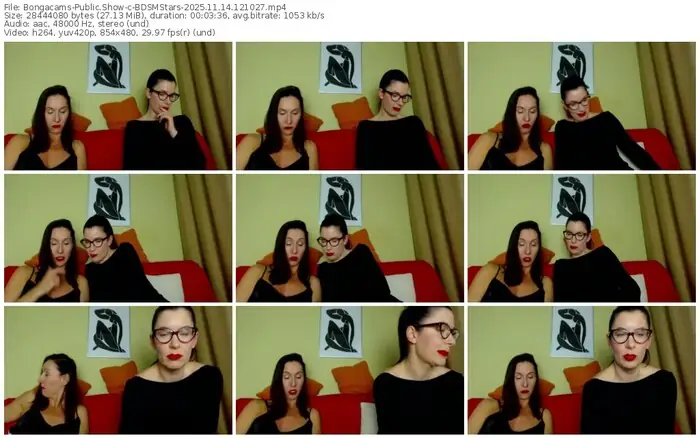 bongacams-bdsmstars-11-14-2025-12-10-27