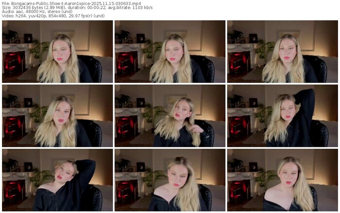 bongacams-aaron1spice-11-15-2025-03-06-33