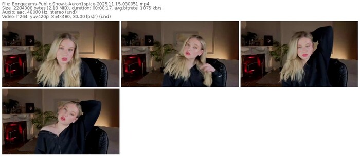 bongacams-aaron1spice-11-15-2025-03-09-51