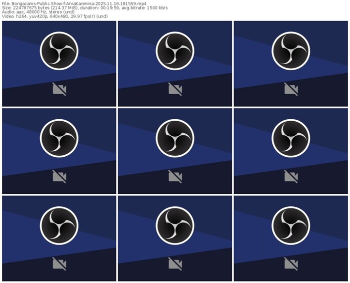 bongacams-aniakarenina-11-16-2025-18-15-59