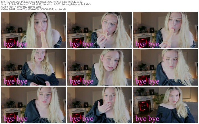 bongacams-aaron1spice-11-16-2025-06-55-44