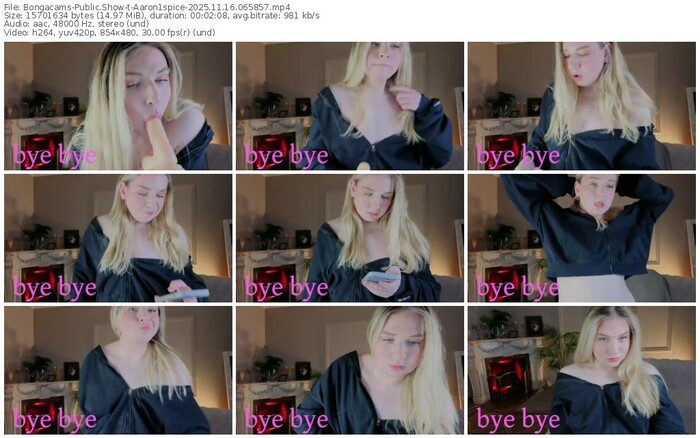 bongacams-aaron1spice-11-16-2025-06-58-57