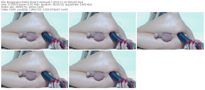 bongacams-vanessa17-11-16-2025-00-52-36