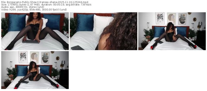 bongacams-transex-shana-11-16-2025-12-53-44