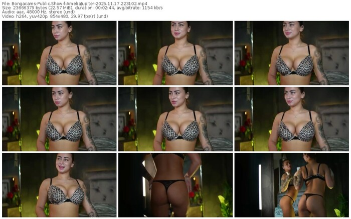 bongacams-ameliajupiter-11-17-2025-22-31-02