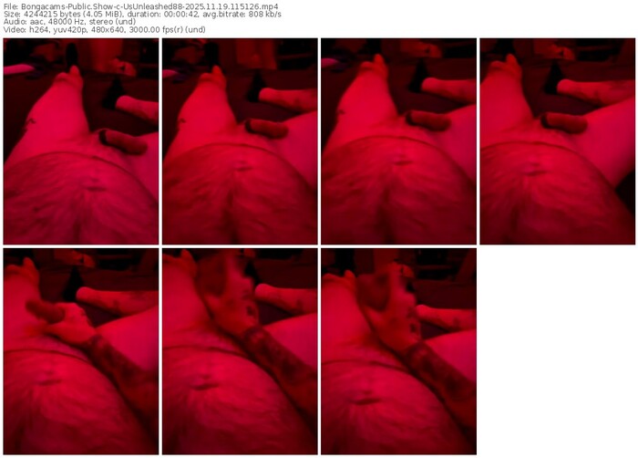 bongacams-usunleashed88-11-19-2025-11-51-26
