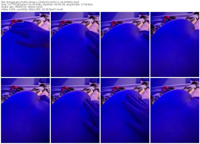 bongacams-chelsi16-11-24-2025-04-08-31