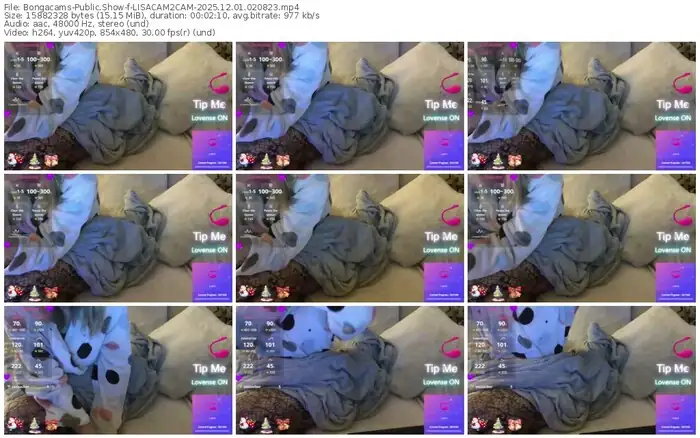 bongacams-lisacam2cam-12-01-2025-02-08-23