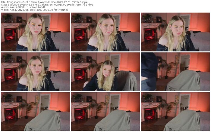 bongacams-aaron1spice-12-01-2025-03-55-46