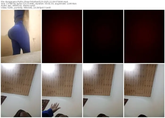 bongacams-modraid123-12-09-2025-07-36-44