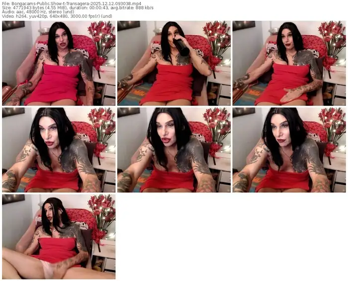 bongacams-transagera-12-12-2025-09-30-38