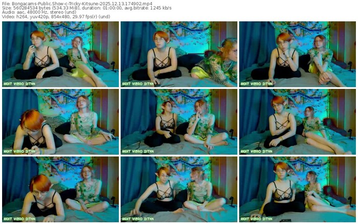 bongacams-tricky-kitsune-12-13-2025-17-49-02
