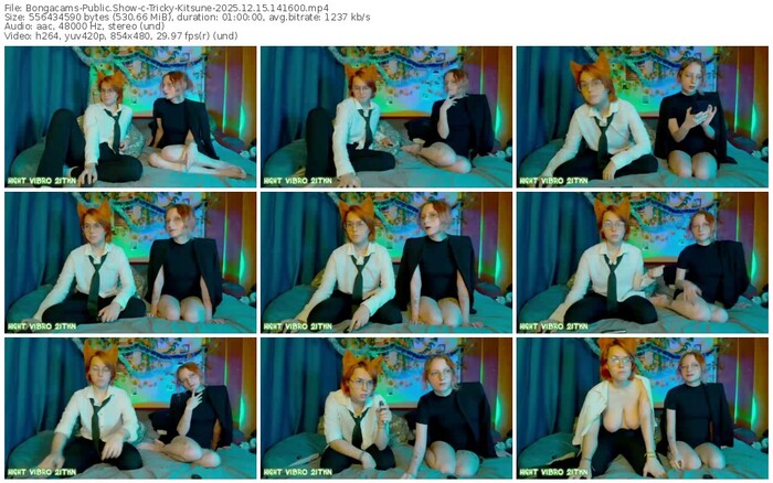 bongacams-tricky-kitsune-12-15-2025-14-16-00