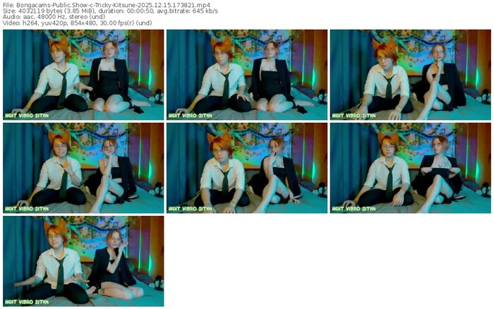 bongacams-tricky-kitsune-12-15-2025-17-38-21