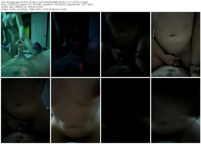 bongacams-usunleashed88-12-17-2025-10-51-14