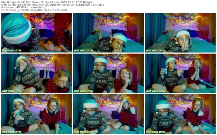 bongacams-tricky-kitsune-12-21-2025-15-23-48